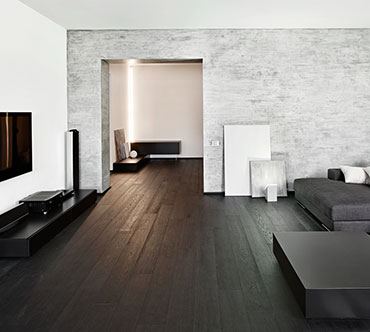 spotlight-5-370x332